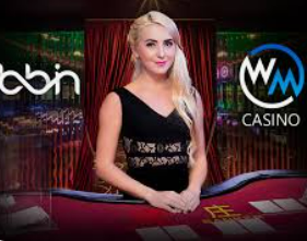 PG免费版模拟器2024最新版